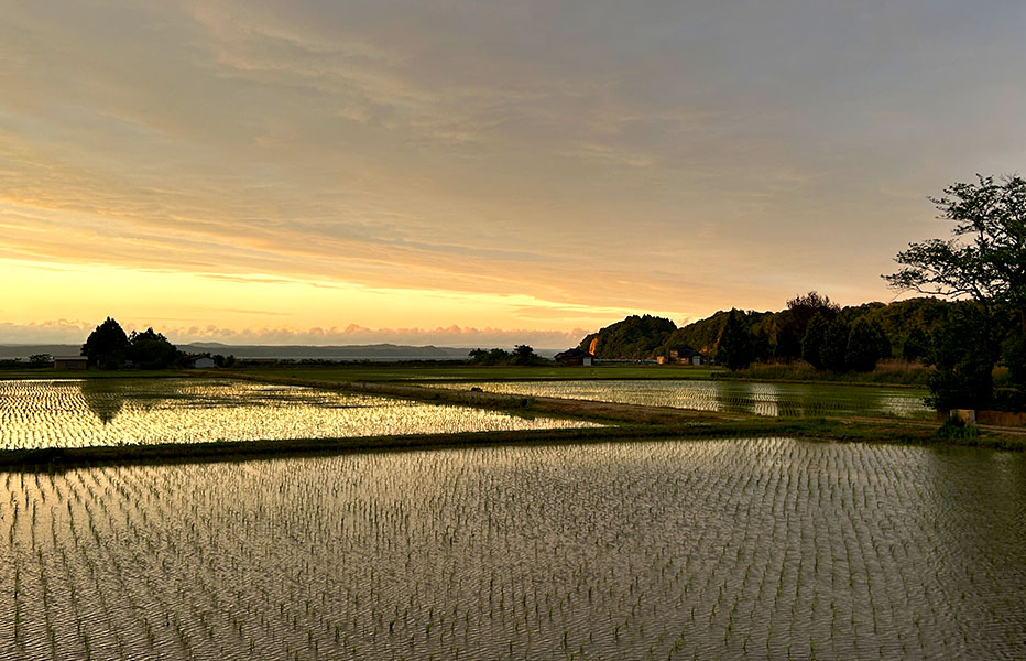 能登島向田の田園風景